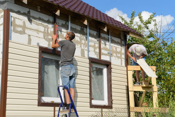 Best Vinyl Siding Installation  in Camden, AL